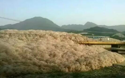 水處理消泡方案